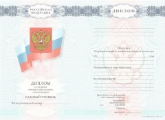 Диплом колледжа с 2008 по 2009 годы