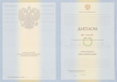 Диплом специалиста с 2009 по 2010 годы