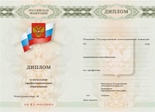 Диплом училища (ПТУ) с 2007 по 2009 годы